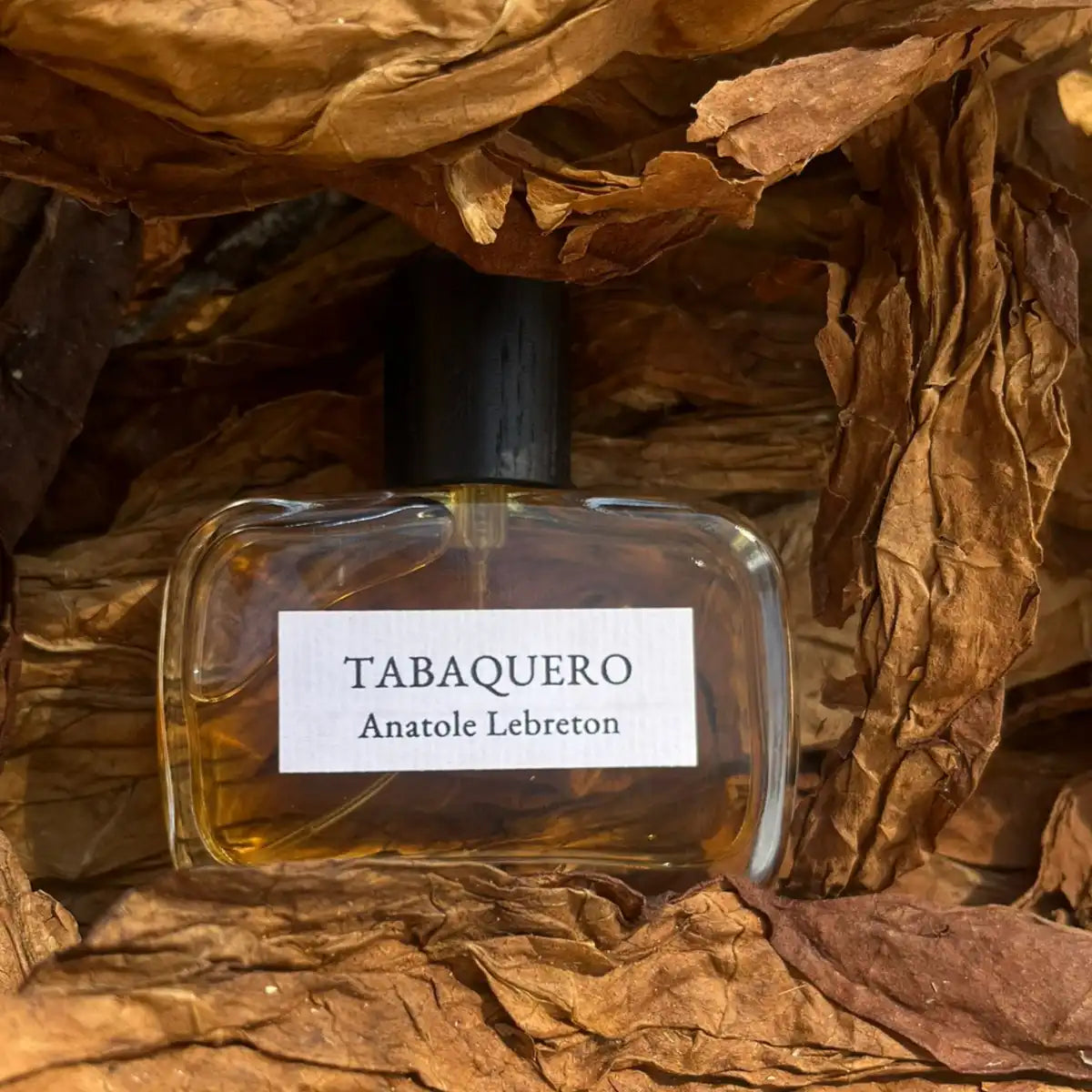 Anatole Lebreton - Tabaquero