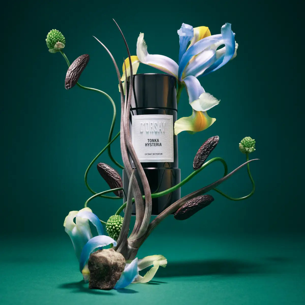 D'Orsay - Tonka Hysteria Parfüm-Extrakt in elegantem schwarzem Flakon umgeben von irisblauen Blumen und Tonkabohnen