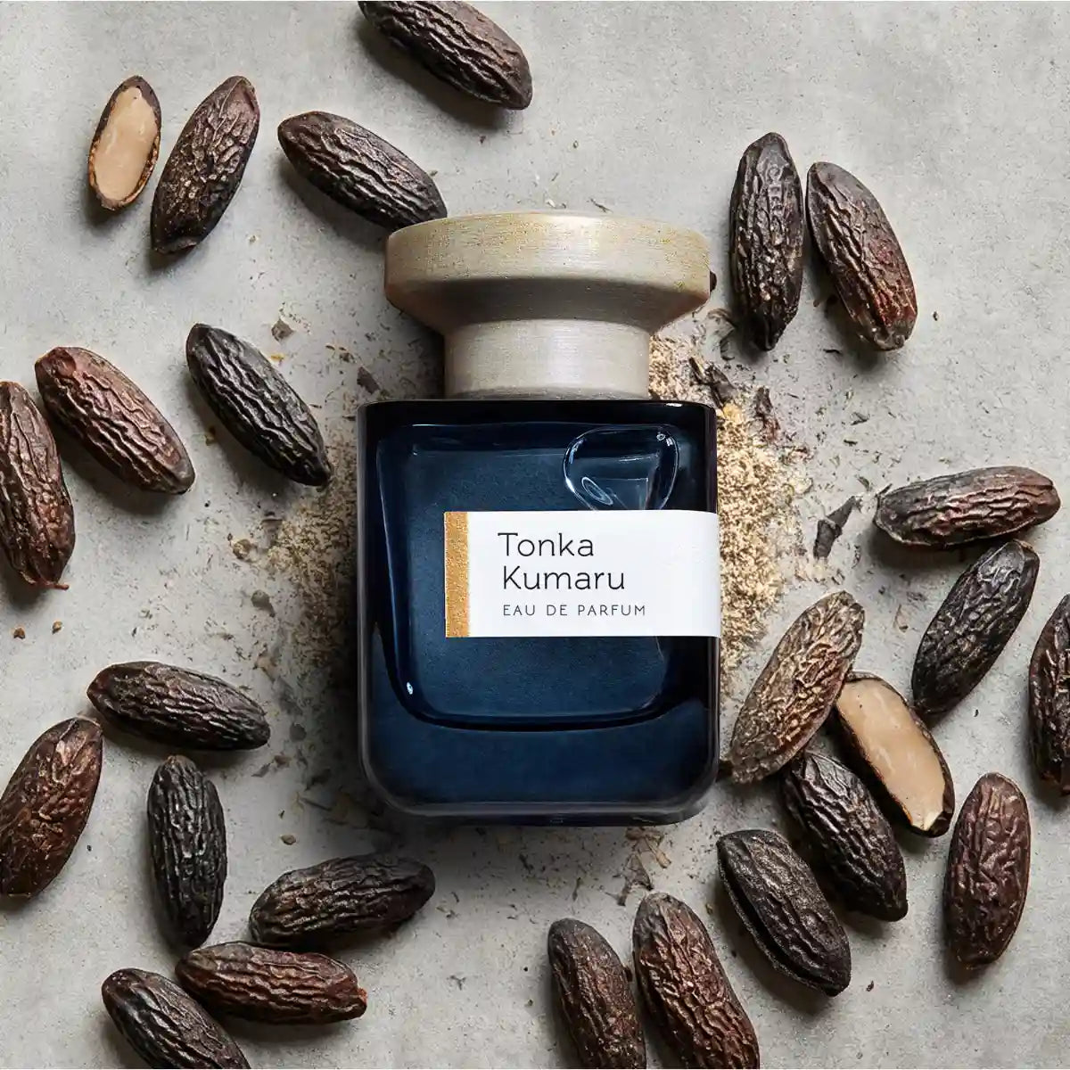 Atelier Materi - Tonka Kumaru