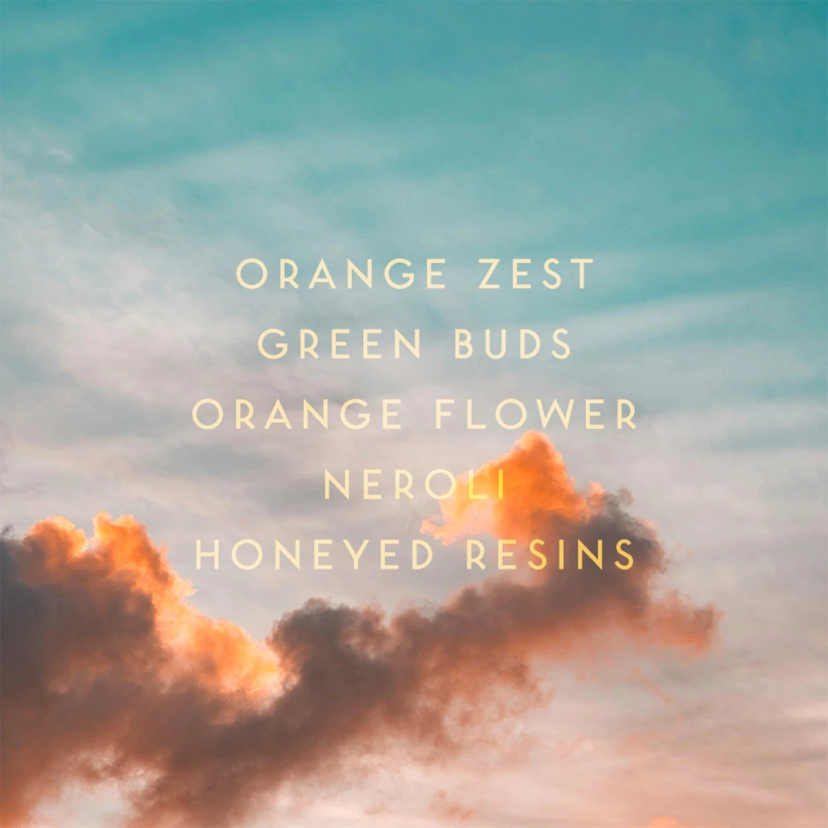 Hiram Green - Tryst Schriftzug mit Duftnoten vor Himmel bei Sonnenuntergang mit orangefarbenen Wolken