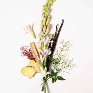 Histoires de Parfums - Tubéreuse Nuit Blanche mit Tuberose, Vanilleschoten, Ingwer und zarten Blättern auf hellem Hintergrund