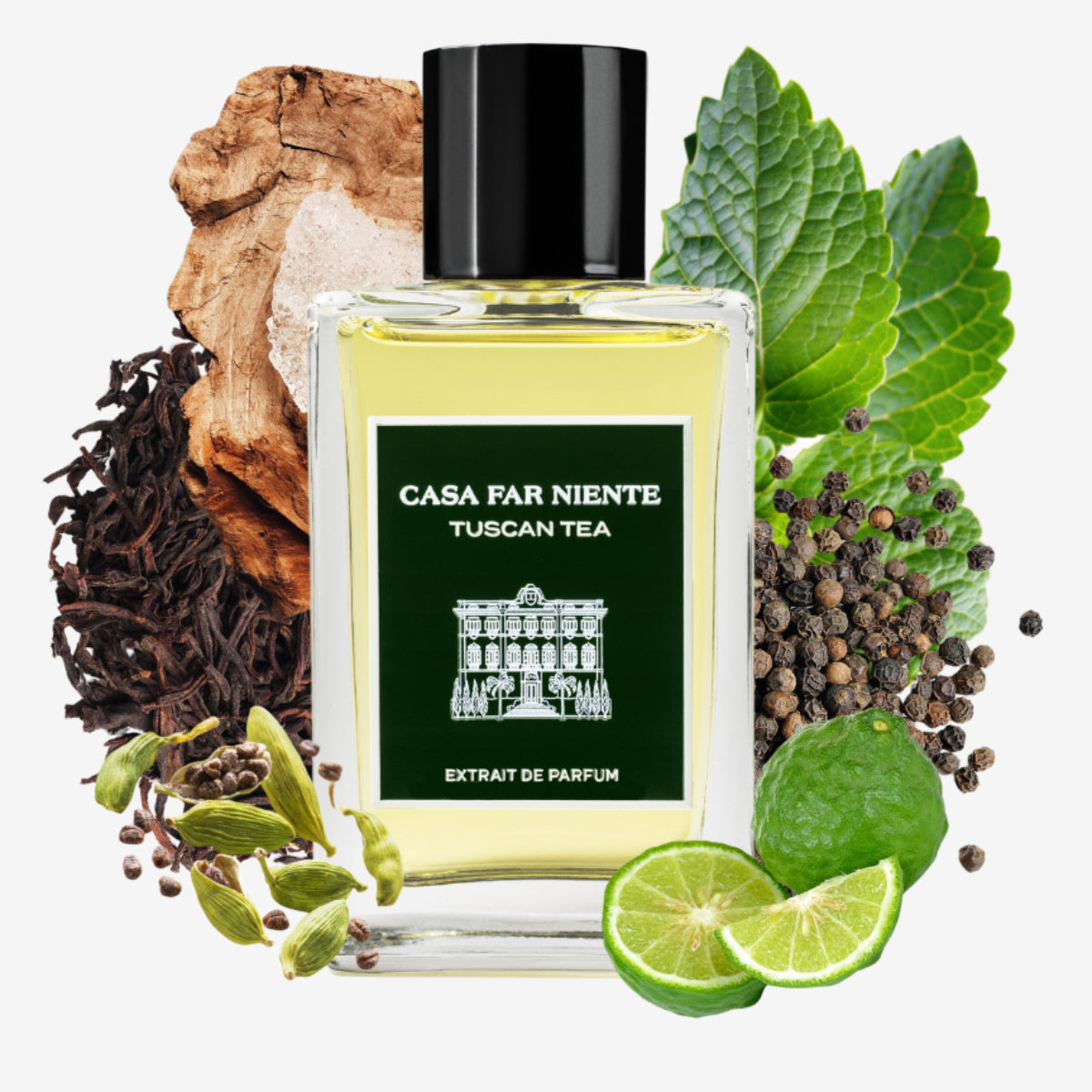 Casa Far Niente - Tuscan Tea Parfumflakon mit natürlichen Duftnoten und frischen Kräutern vor weißem Hintergrund