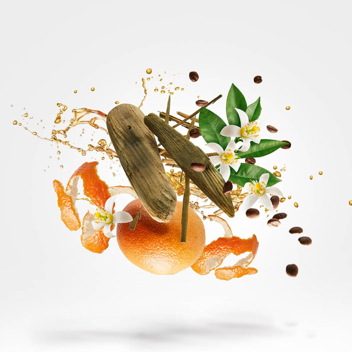 Xerjoff - Shooting Stars - Uden Komposition mit Zitrusfrucht, Blumen, Holz und Kaffeebohnen auf weißem Hintergrund