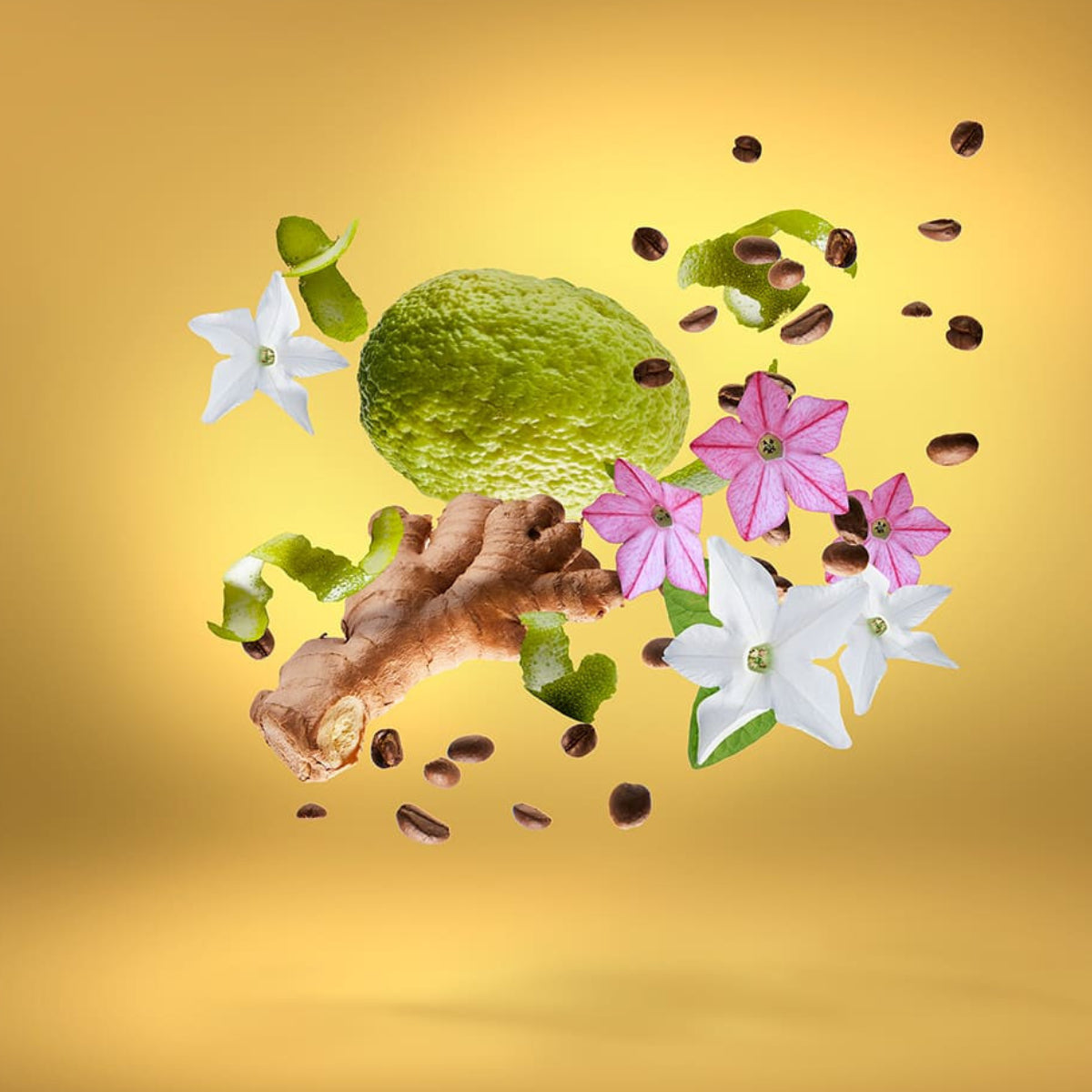 Xerjoff - Shooting Stars - Uden Overdose Komposition aus Yuzu, Ingwer, Kaffee und blumigen Akzenten vor gelbem Hintergrund