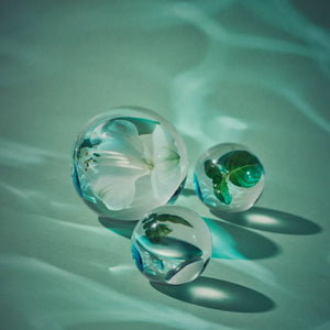Kinetic Perfumes - Verdigris zarte Glaskugeln mit eingehüllten Blüten und Blättern im grünen, sanften Lichtspiel