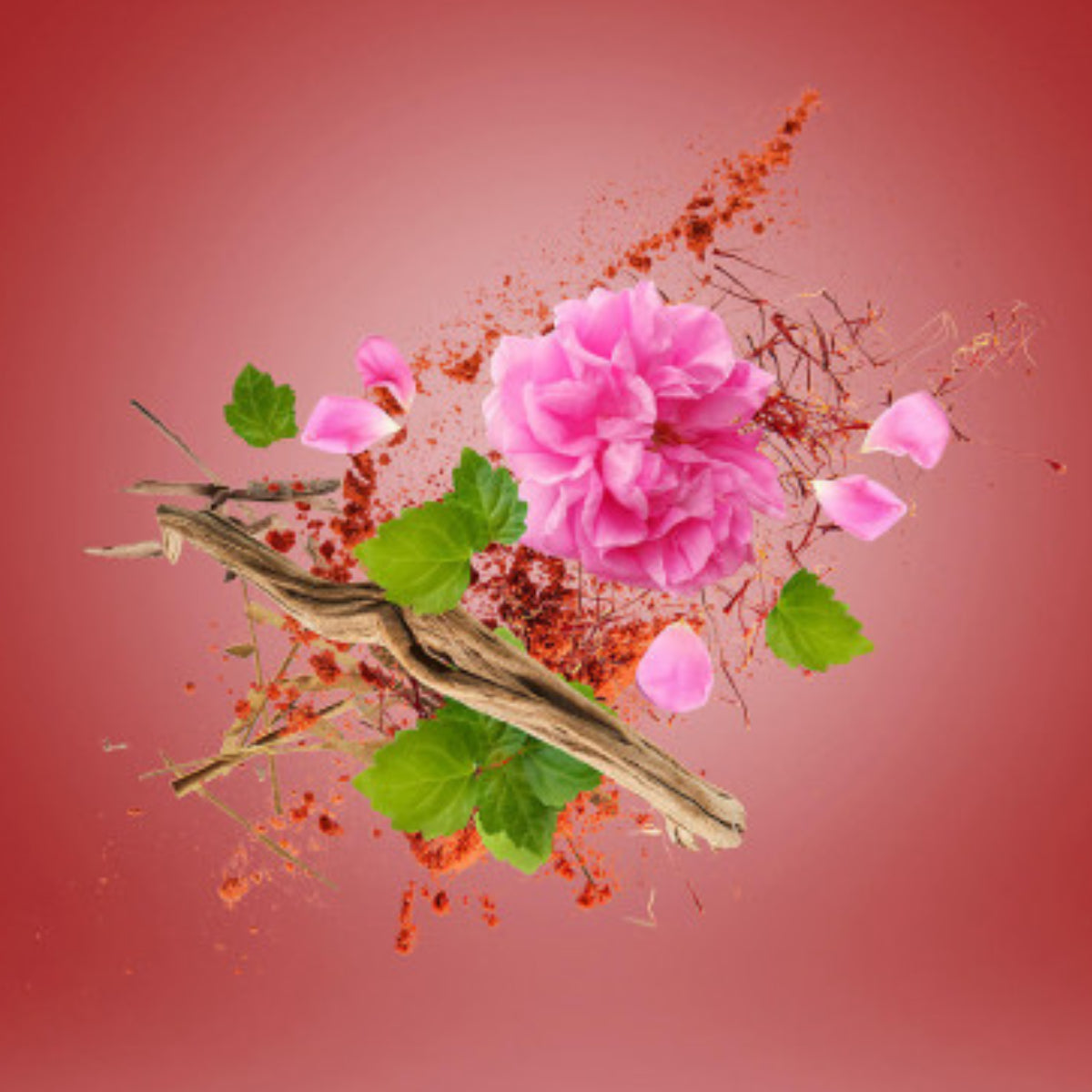 Xerjoff - Vibe - Wardasina mit bulgarischer Rose und Safran vor weinrotem Hintergrund stilvoll arrangiert