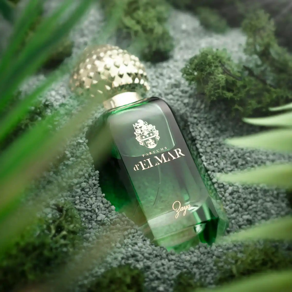 Parfums d'Elmar - Zaya