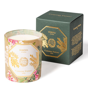 Carrière Frères - Acacia - Robinia - Duftkerze im floral gestalteten Glas mit goldener Akazien-Verzierung und eleganter Verpackung