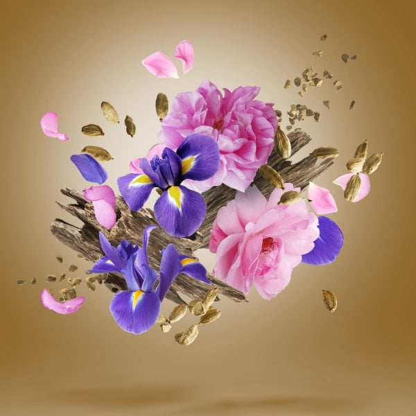 Xerjoff - Oud Stars - ALEXANDRIA II Anniversary floral holzige Duftkomposition mit Iris und Rosen vor goldbraunem Hintergrund