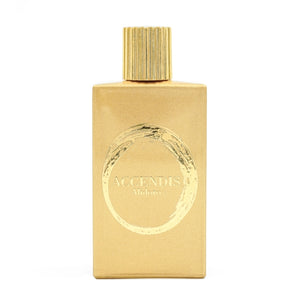 Accendis - The Golds - Alidoro goldener Flakon mit strukturiertem Verschluss und minimalistischem Design auf weißem Hintergrund