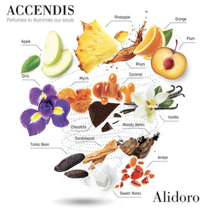 Accendis - The Golds - Alidoro Duftkomposition aus Früchten, Holznoten, Vanille und Amber harmonisch arrangiert und beschriftet