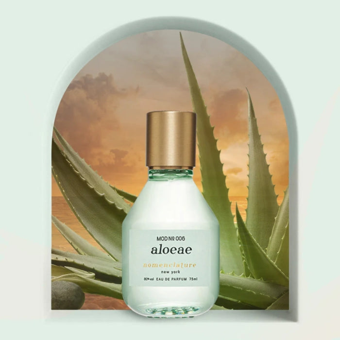 Nomenclature - aloeae Parfumflakon vor Aloe-Pflanze und warmem Sonnenuntergangshintergrund in sanfter Farbgebung