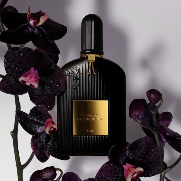 Tom Ford - Signature - Black Orchid - Eau de Parfum edler schwarzer Flakon mit geriffeltem Design und goldenem Emblem umgeben von dunklen Orchideen