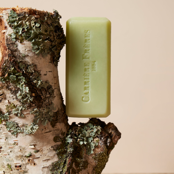 Carrière Frères - Bosci - Seife als hellgrüner Block mit eingeprägtem Logo auf natürlichem Holz mit Moos vor hellem Hintergrund