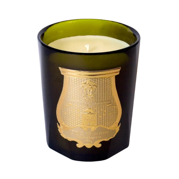 Trudon - Dada - Duftkerze im eleganten Glas mit frischen Noten von Tee, Vetiver, Minze und Eukalyptus für inspirierende Atmosphäre
