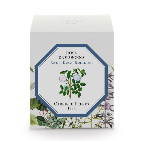 Carrière Frères - Damask Rose - Rosa Damascena - Duftkerze in stilvoller Verpackung mit botanischem Rosenmotiv