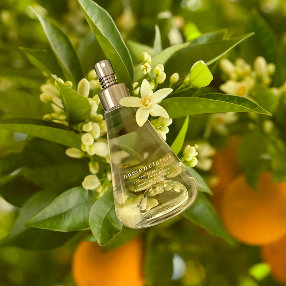 Nomenclature - efflor_esce Parfumflakon mit transparentem Glas in Orangenblüten-Umgebung und silbernem Zerstäuber