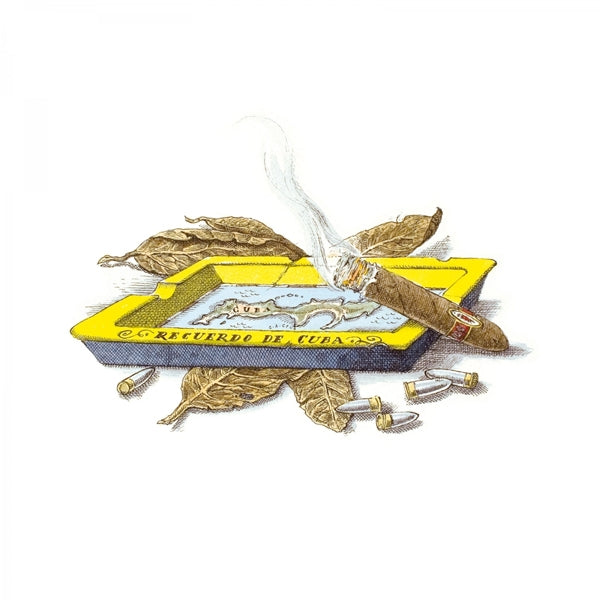 Trudon - Ernesto - Raumspray Illustration mit brennender Zigarre, gelbem Aschenbecher und getrockneten Tabakblättern