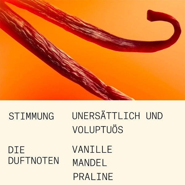L'Atelier Parfum - Opus 1 - Exquise Tentation zeigt Vanilleschoten vor warmem orangefarbenem Hintergrund