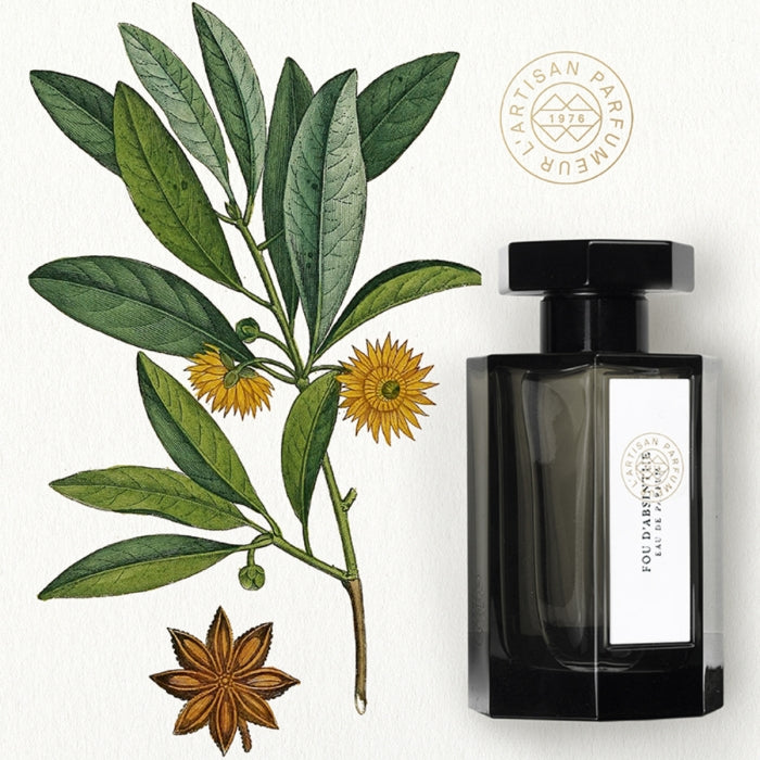 L'Artisan Parfumeur - La Collection - Fou d'Absinthe Flakon in tiefem Schwarz mit schlichtem weißem Etikett und botanischem Motiv