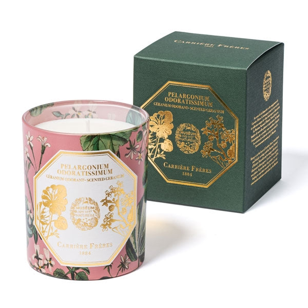 Carrière Frères - Geranium - Pelargonium Odoratissimum - Duftkerze im floral verzierten rosa Glas mit Geschenkbox