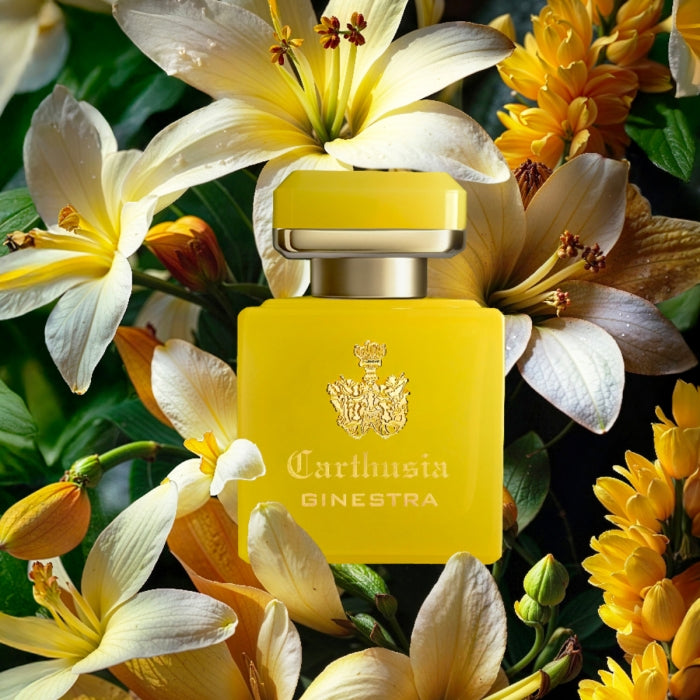 Carthusia - Intenso Collection - Ginestra zeigt leuchtend gelben Flakon umgeben von zarten weißen und gelben Blüten