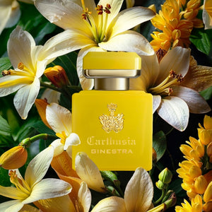 Carthusia - Intenso Collection - Ginestra zeigt leuchtend gelben Flakon umgeben von zarten weißen und gelben Blüten