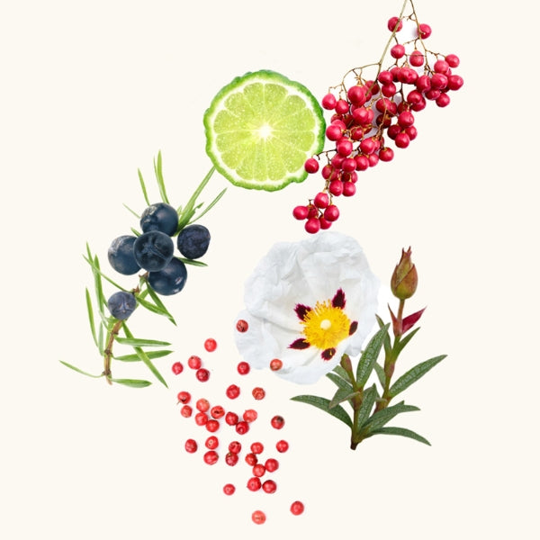 Widian - Sapphire Collection - Granada Komposition aus Zitrus, rosa Pfefferbeeren, Wacholderbeeren und weißer Blüte elegant arrangiert