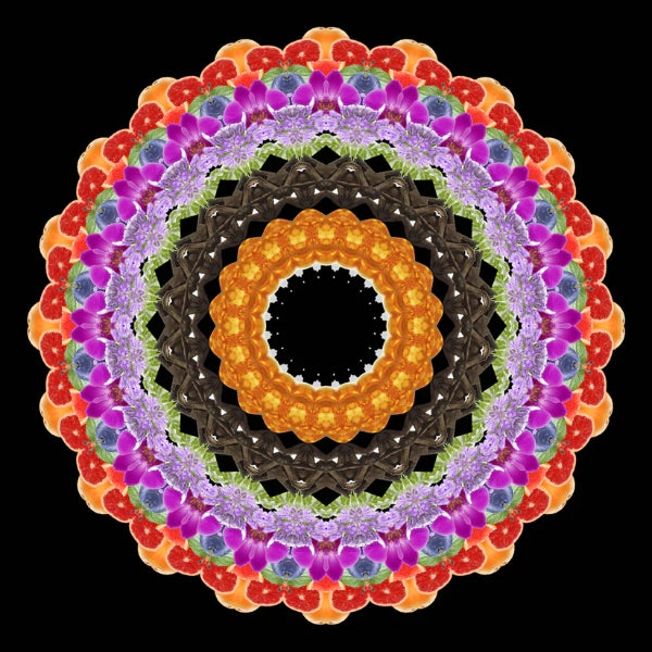 Eau De Moe - Hala Mandala aus bunten Blüten und Früchten in symmetrischem Muster vor schwarzem Hintergrund