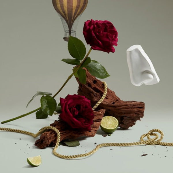 Penhaligon's - Halfeti - Hand Cream zeigt Rose, Zimt, Amber und Oud als Elemente für sinnliche Duftkomposition