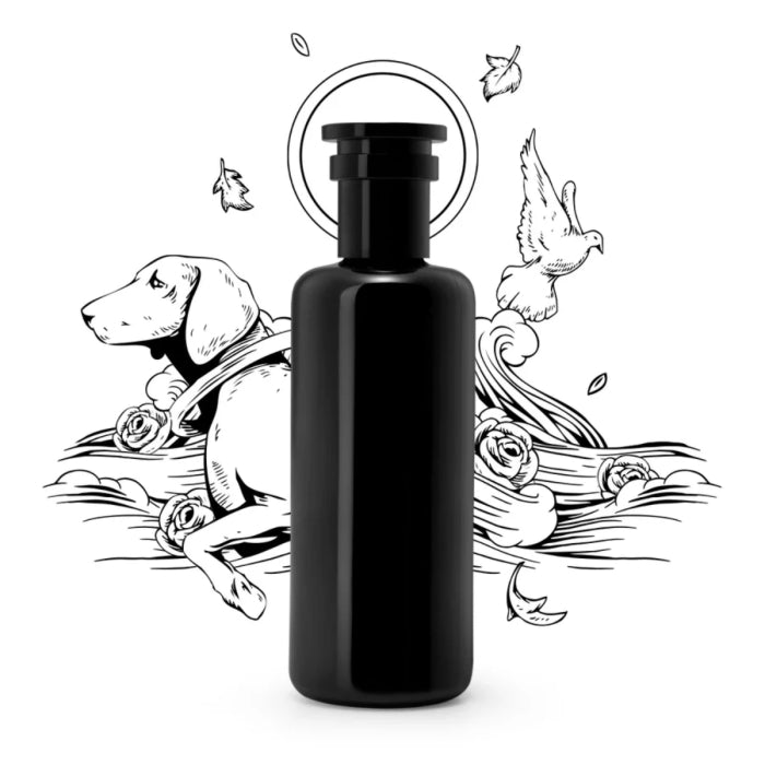 Argentum - L'Eau de Jouvence edle, schwarze Flasche vor kunstvoller Illustration mit Hund, Taube und floralen Elementen