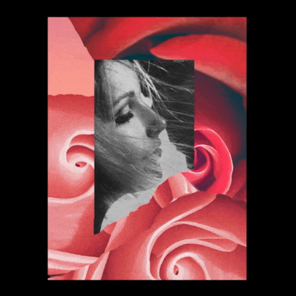 Le Galion - La Rose künstlerische Collage mit weiblichem Profil vor abstrakten roten Rosenblättern im Nahaufnahme-Stil