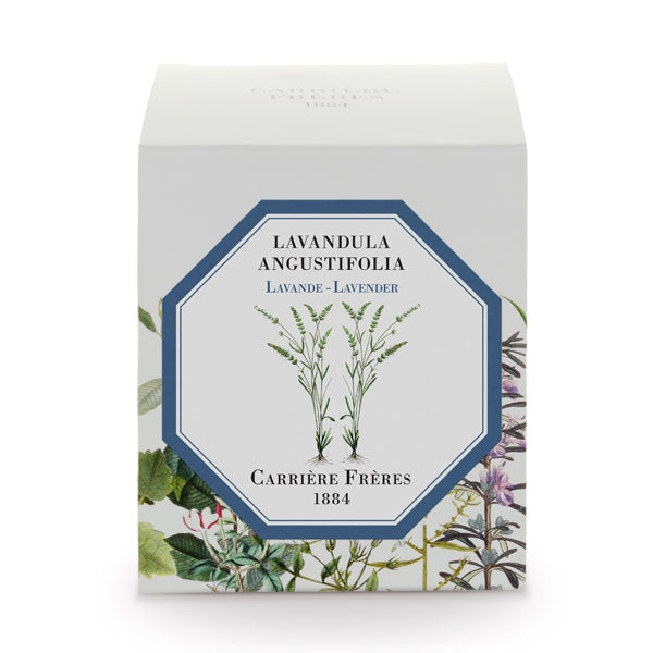 Carrière Frères - Lavender - Lavandula Angustifolia - Duftkerze mit zart botanischer Lavendel-Illustration auf weißer Verpackung