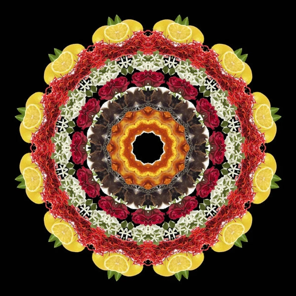 Eau De Moe - Leen Mandala aus Zitronen, roten Blüten und weißen Blumen vor schwarzem Hintergrund