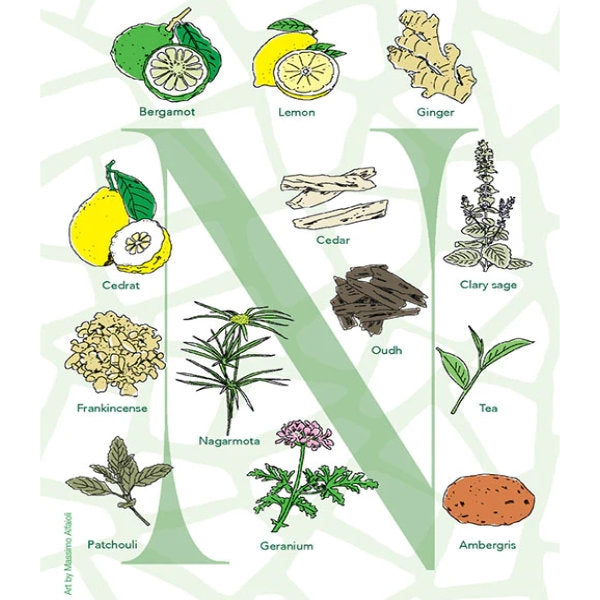 Neela Vermeire Créations - Nemus Illustrationen der Duftnoten mit Zitronen-, Ingwer- und Zedernholz-Motiven vor hellem Hintergrund