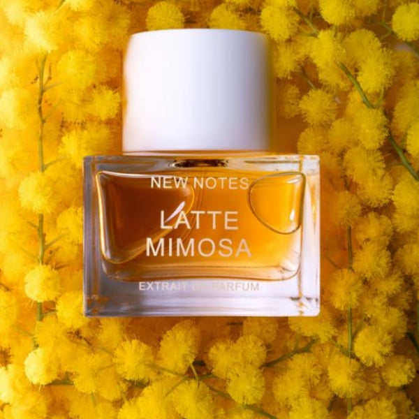 New Notes - Contemporary Blend Collection - Latte Mimosa Parfümflakon aufgelgt auf leuchtendem Hintergrund aus gelben Mimosenblüten