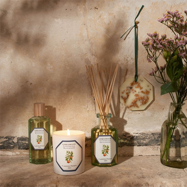 Carrière Frères - Orange Blossom - Citrus Dulcis - Raumspray mit natürlichem Ambiente, Kerze und dekorativen Blumenarrangements