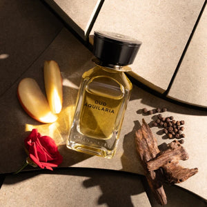 Omanluxury - Oud Aquilaria Parfümflakon mit goldfarbenem Duft umgeben von Apfel, Rose und harzigen Holznoten auf Steinfläche