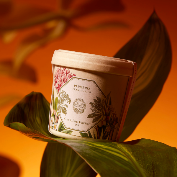 Carrière Frères - Plumeria - Frangipani - Duftkerze Refill mit botanischem Motiv und zartblumigem Duft vor warmem Hintergrund