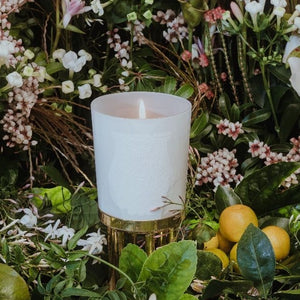 Trudon - Giambattista Valli - Positano - Duftkerze in elegantem weißen Glas umgeben von Blüten und Zitronen für meditative Momente