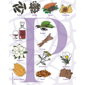Neela Vermeire Créations - Purpureum Duftnotenillustration mit Tonka, Kaffee, Kakao und feinen Gewürzen vor weißem Hintergrund