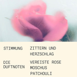L'Atelier Parfum - Opus 1 - Rose Coup de Foudre zeigt eine zarte, fast eisige Rose mit weichen Nuancen vor hellem Hintergrund