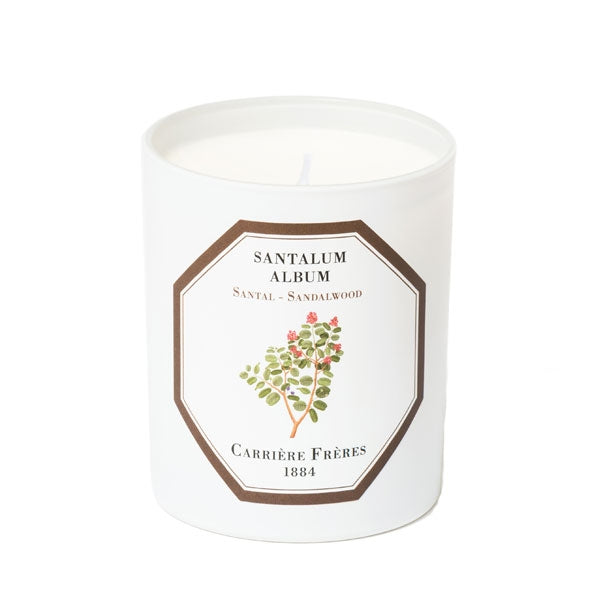 Carrière Frères - Sandalwood - Santalum Album - Duftkerze im weißen Glas mit botanischer Sandelholz-Illustration