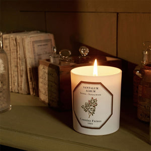Carrière Frères - Sandalwood - Santalum Album - Duftkerze mit zartem botanischem Motiv und warmem Kerzenlicht im Vintage-Ambiente