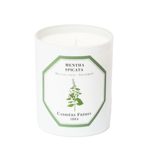 Carrière Frères - Spearmint - Mentha Spicata - Duftkerze im weißen Glas mit grüner Minzblatt-Illustration auf elegantem Etikett