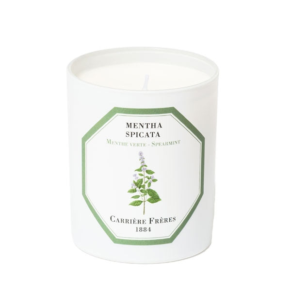 Carrière Frères - Spearmint - Mentha Spicata - Duftkerze im weißen Glas mit grüner Minzblatt-Illustration auf elegantem Etikett