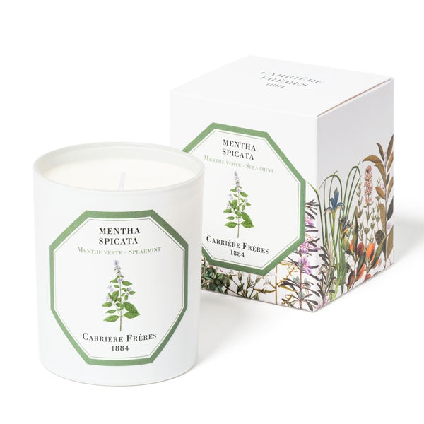 Carrière Frères - Spearmint - Mentha Spicata - Duftkerze mit grüner Minzpflanzen-Illustration und dekorativer Verpackung