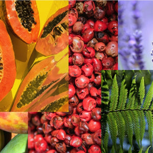 Francesca Bianchi - The Code of Emotion zeigt Collage aus Papaya, roten Beeren und Farnblättern in intensiven Farben