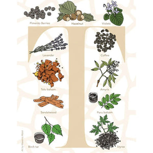 Neela Vermeire Créations - Thyina Duftnotenillustration mit Lavendel, Kaffee, Sandelholz und weiteren Ingredienzen vor hellem Hintergrund