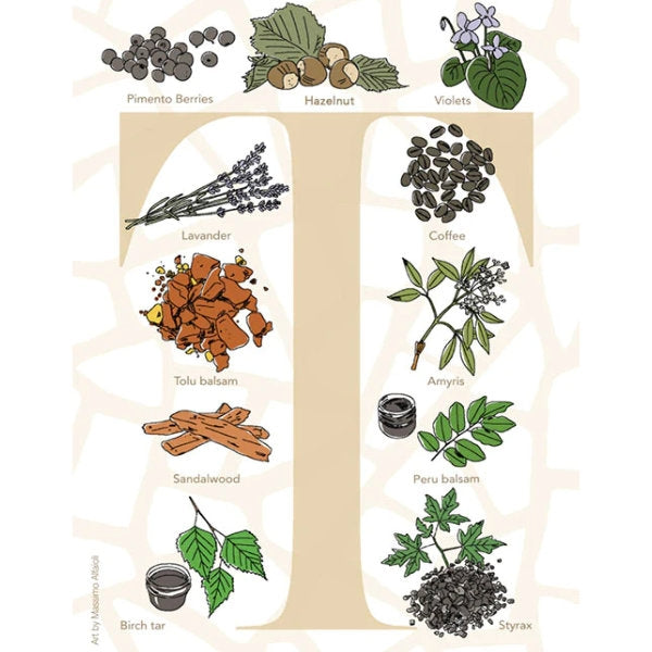 Neela Vermeire Créations - Thyina Duftnotenillustration mit Lavendel, Kaffee, Sandelholz und weiteren Ingredienzen vor hellem Hintergrund